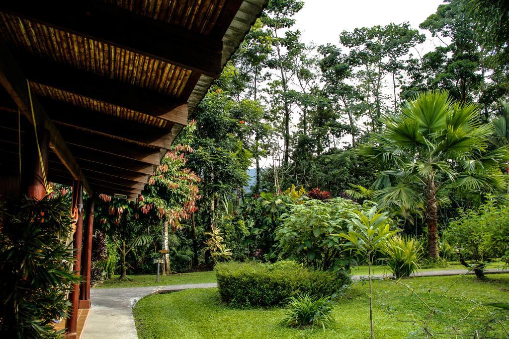 Catarata Eco Lodge ラ・フォルトゥナ エクステリア 写真
