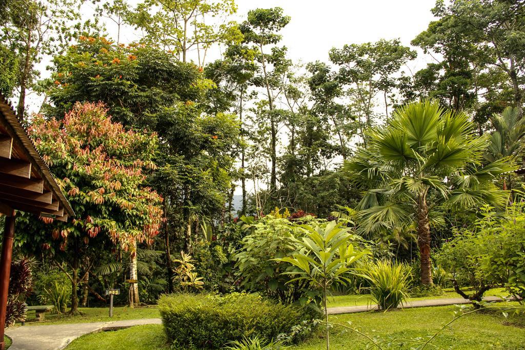 Catarata Eco Lodge ラ・フォルトゥナ エクステリア 写真