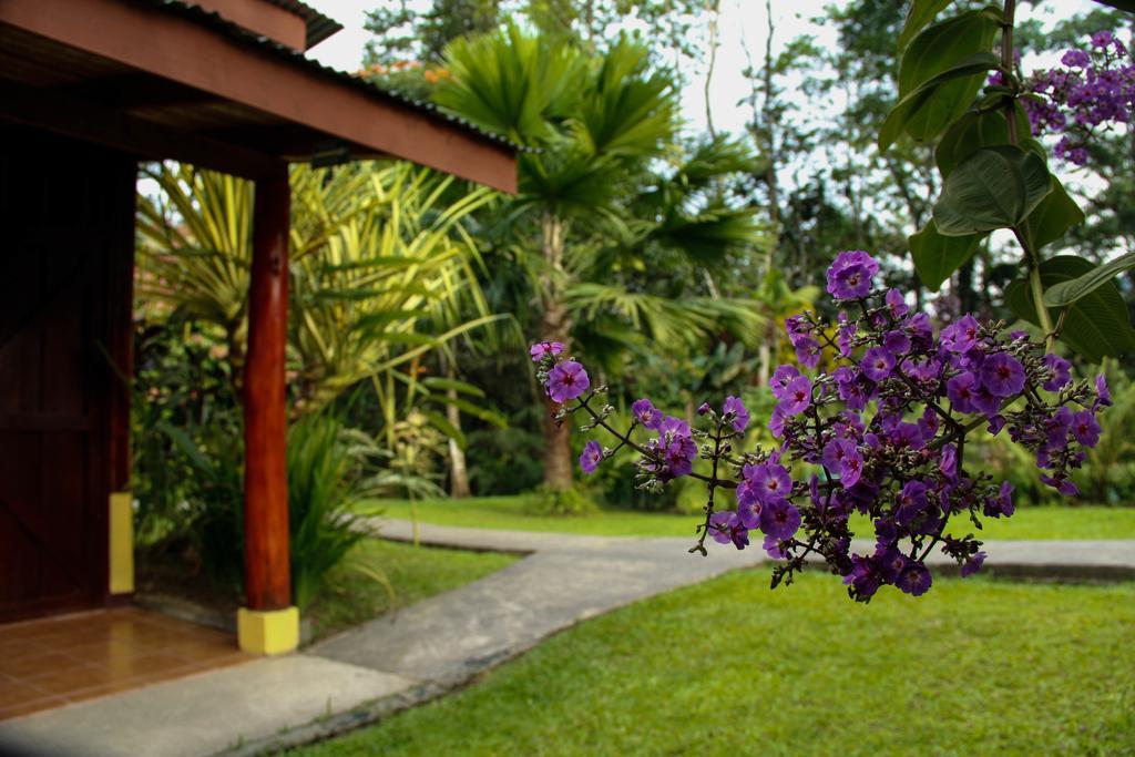 Catarata Eco Lodge ラ・フォルトゥナ エクステリア 写真