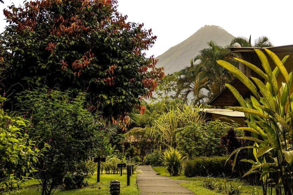 Catarata Eco Lodge ラ・フォルトゥナ エクステリア 写真